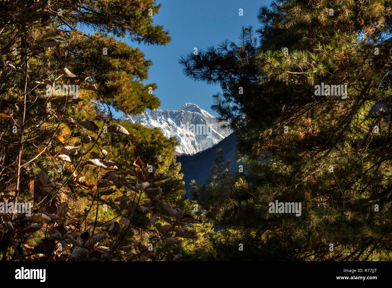 Il Nepal, Namche Bazar, il Parco Nazionale di Sagarmatha, Topdanda Viewpoint, lontano picco del Monte Everest Foto Stock