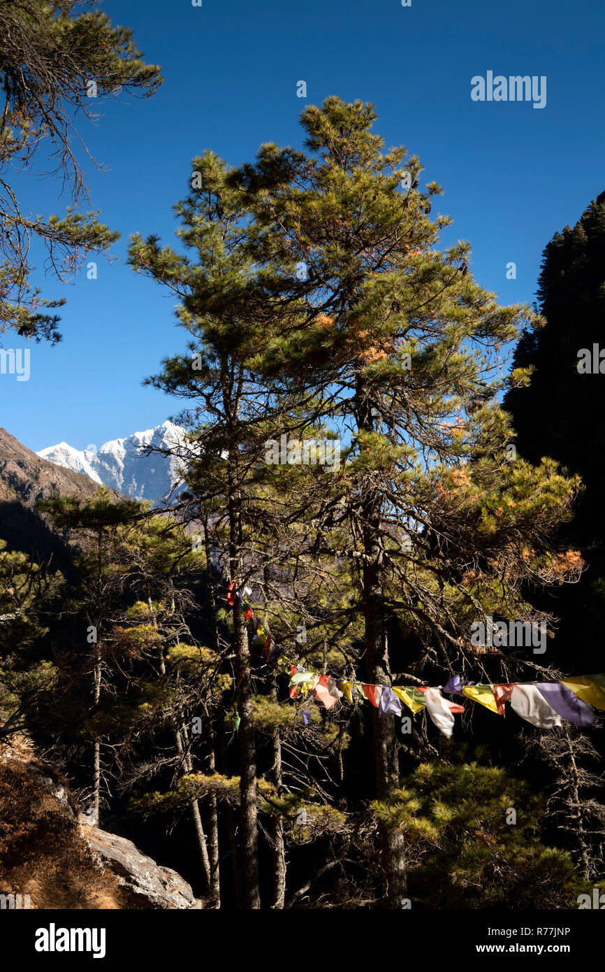 Il Nepal, Larja Dobhan, vista in lontananza cime del monte Everest e Lhotse e la preghiera buddista bandiere da Larja superiore sospensione ponte Foto Stock