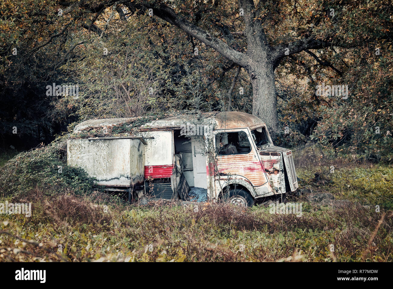 Vintage pizza abbandonati van essendo preso in consegna dalla natura sotto un albero in un bosco in Corsica, Francia Foto Stock