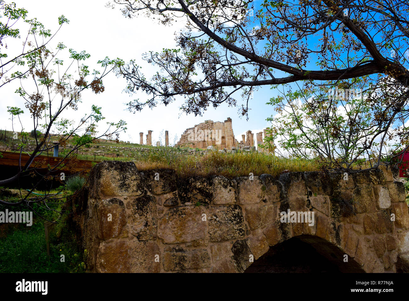 Jerash la città di patrimonio - Giordania Foto Stock