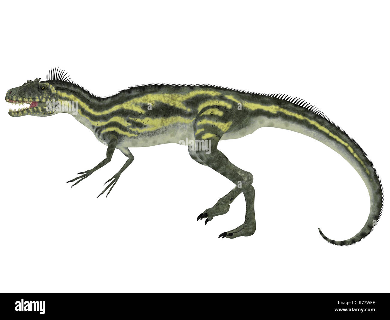 Dinossauro Tiranossauro Rex Imagem de Stock - Imagem de dentes, predador:  225064987