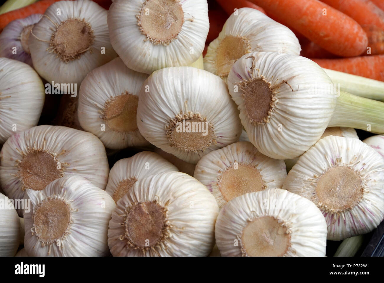 Aglio fresco tuberi nel mercato Foto Stock
