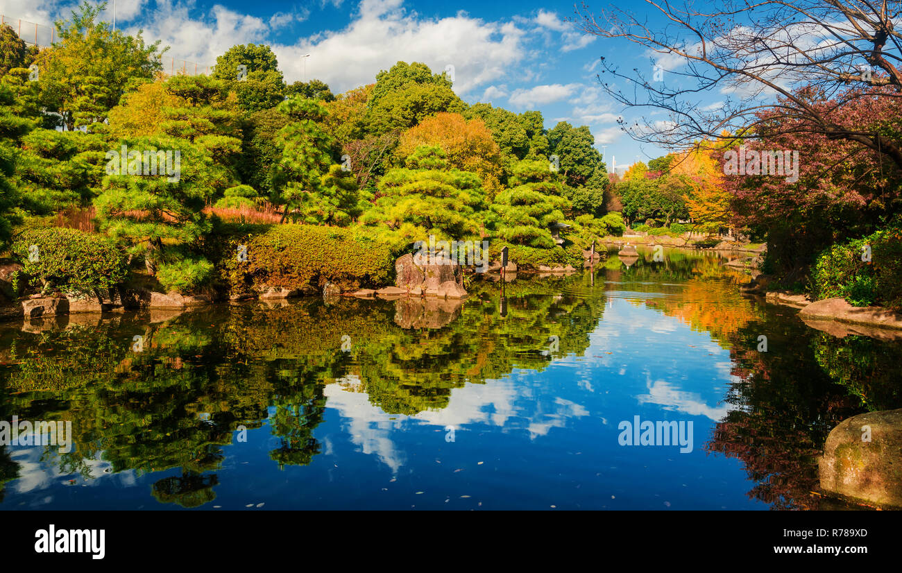 Vista del Parco Sumida nel centro di Tokyo con colori autunnali Foto Stock
