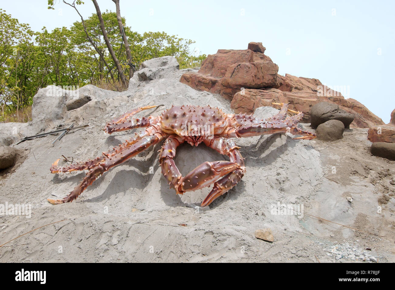 Red King Crab (Paralithodes camtschaticus), scultura, sul territorio dell'Oceanarium, Vladivostok, Primorsky Krai, Russia Foto Stock