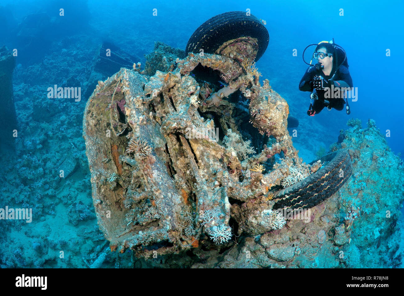 Sommozzatore guardando Bedford camion militari abbandonate nel Mar Rosso durante la guerra dei sei giorni, Mar Rosso di Sharm el-Sheikh Foto Stock