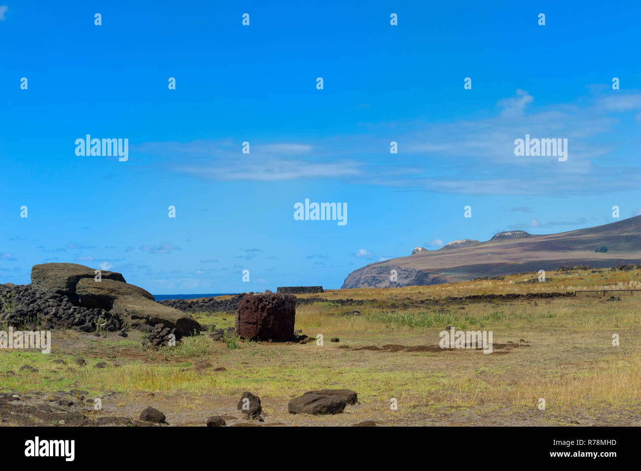Moai Paro, il più grande Moai eretto sull'isola, Te Pito Kura, Patrimonio Mondiale dell'Unesco, il Parco Nazionale di Rapa Nui, Isola di Pasqua Foto Stock