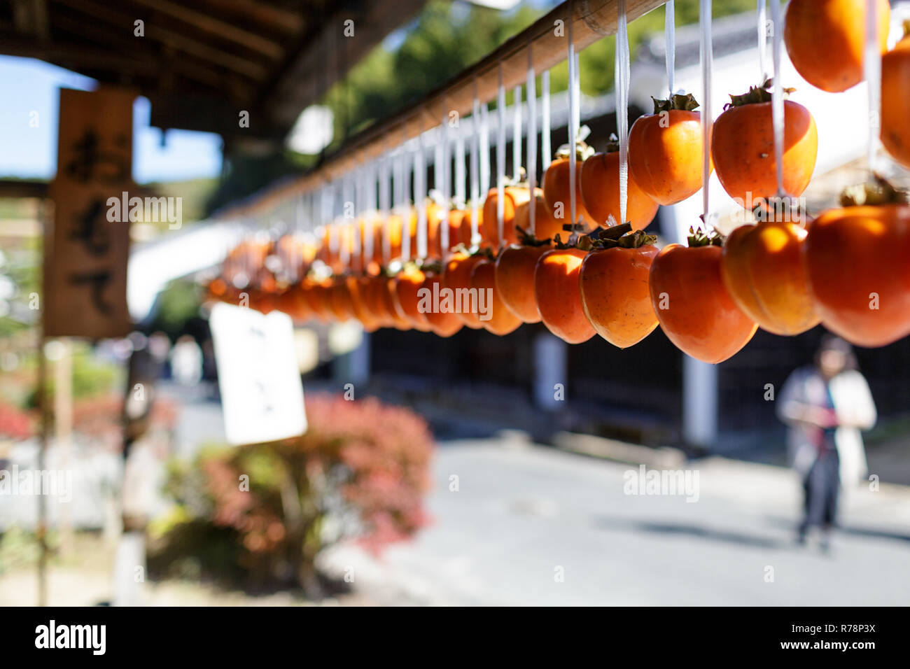 Kaki essiccazione frutta appeso sul bastone di bambù, Giappone Foto Stock