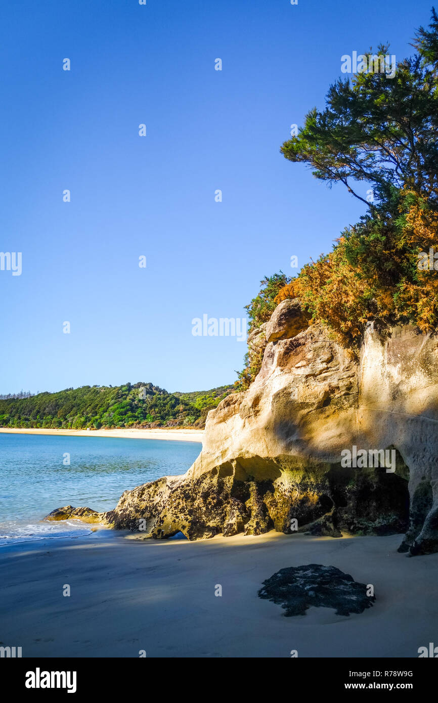 Creek al tramonto nel Parco Nazionale Abel Tasman, Nuova Zelanda Foto Stock