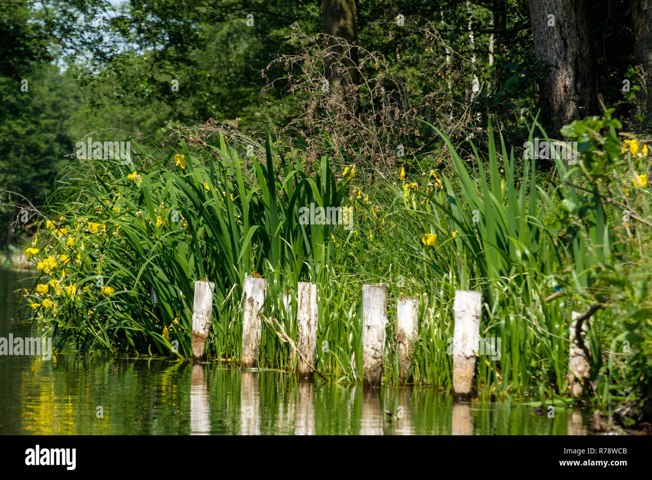 Spreewald riserva della biosfera area vacanze Foto Stock