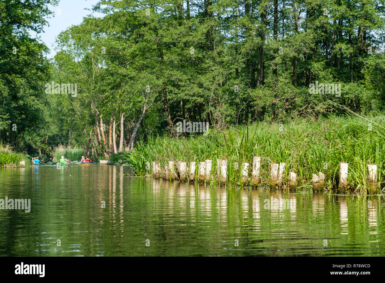 Spreewald riserva della biosfera area vacanze Foto Stock