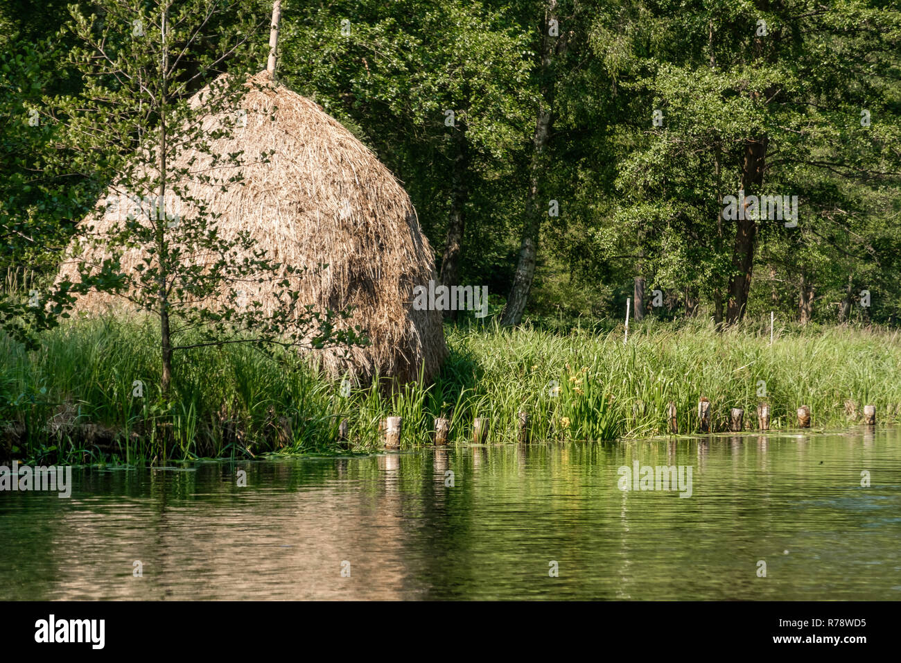 Spreewald riserva della biosfera Regione di vacanza di haystacks tradizionali Foto Stock