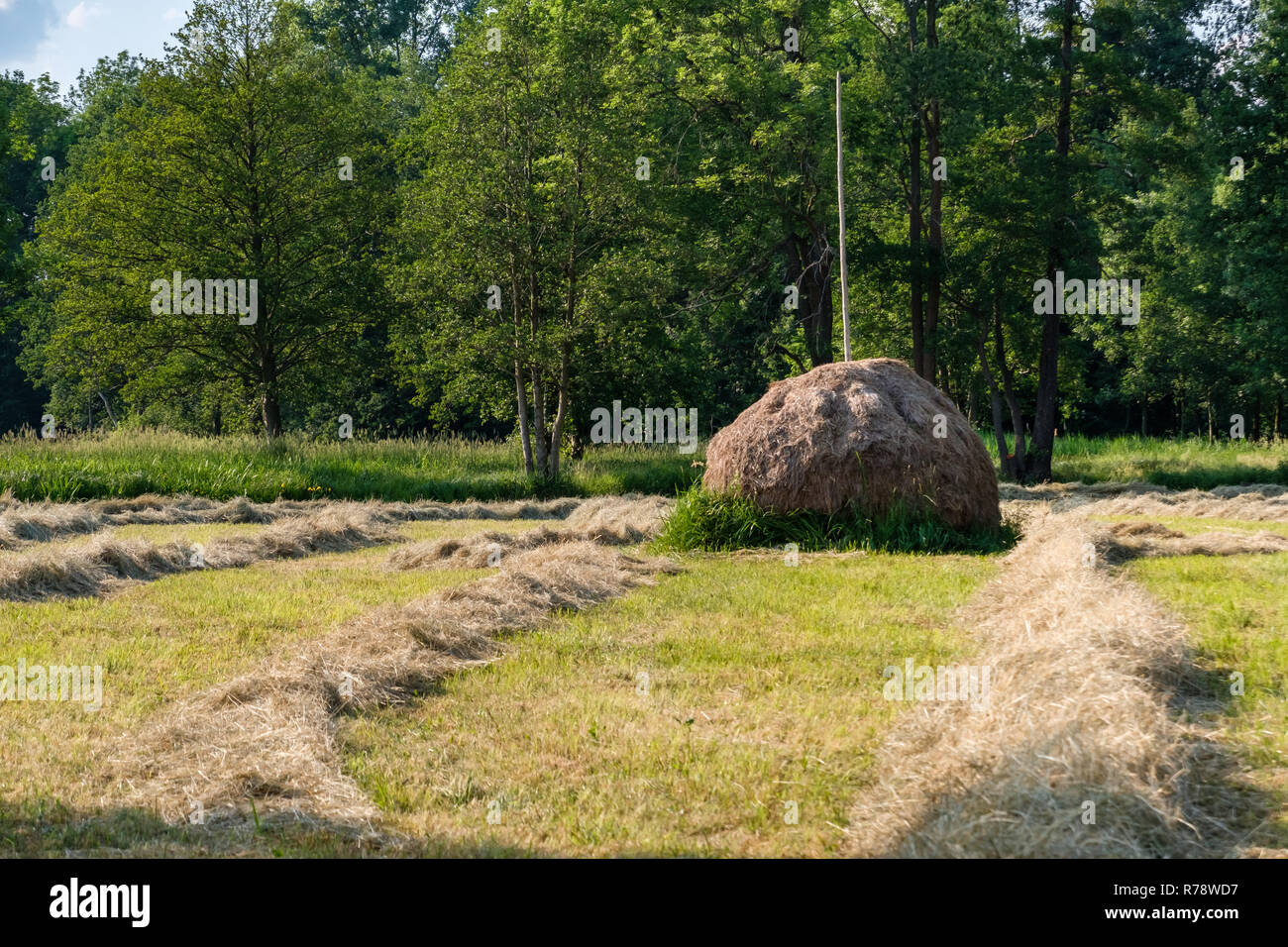 Spreewald riserva della biosfera Regione di vacanza di haystacks tradizionali Foto Stock