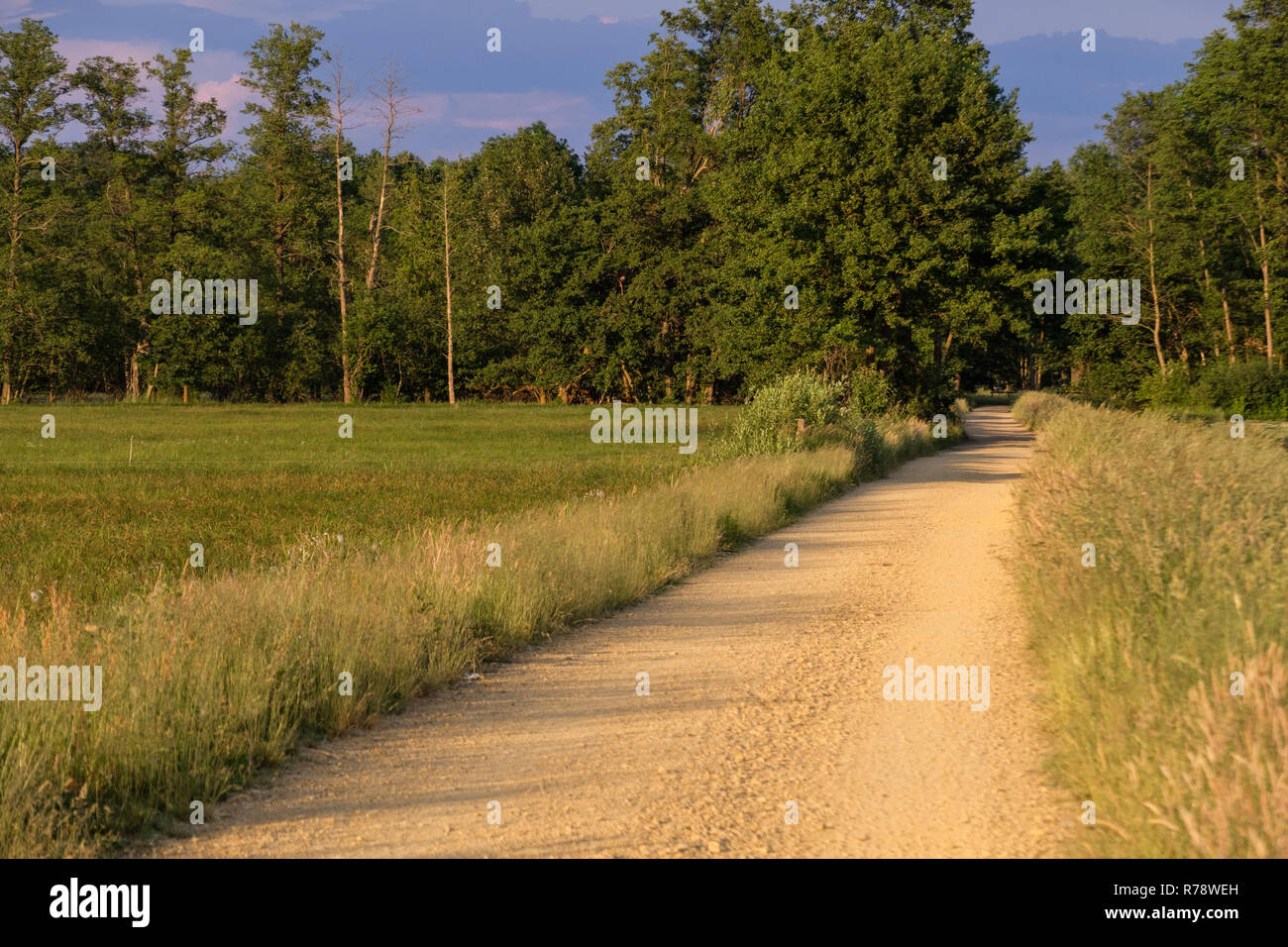 Spreewald riserva della biosfera area vacanze Foto Stock