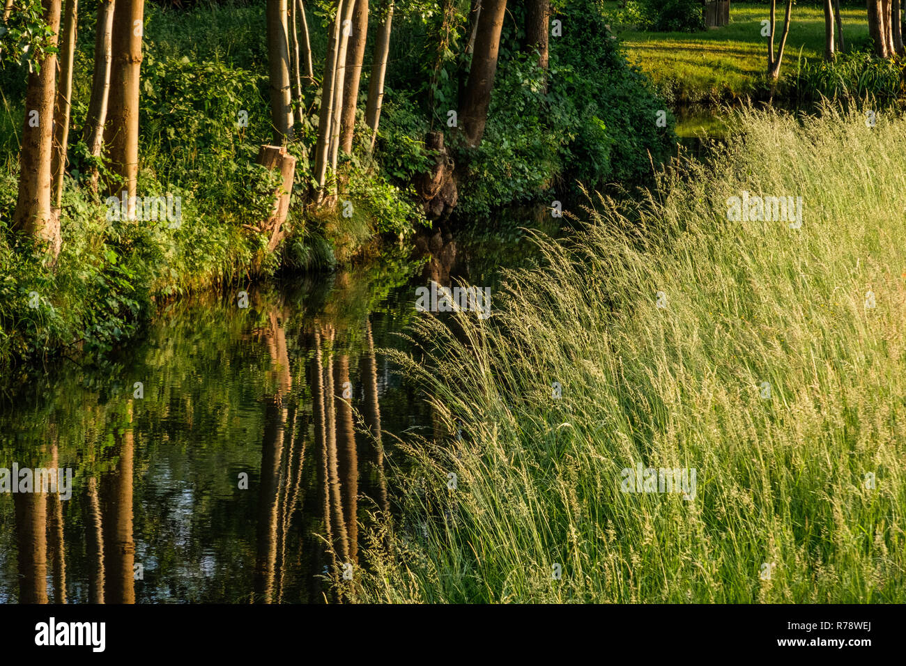 Spreewald riserva della biosfera area vacanze Foto Stock