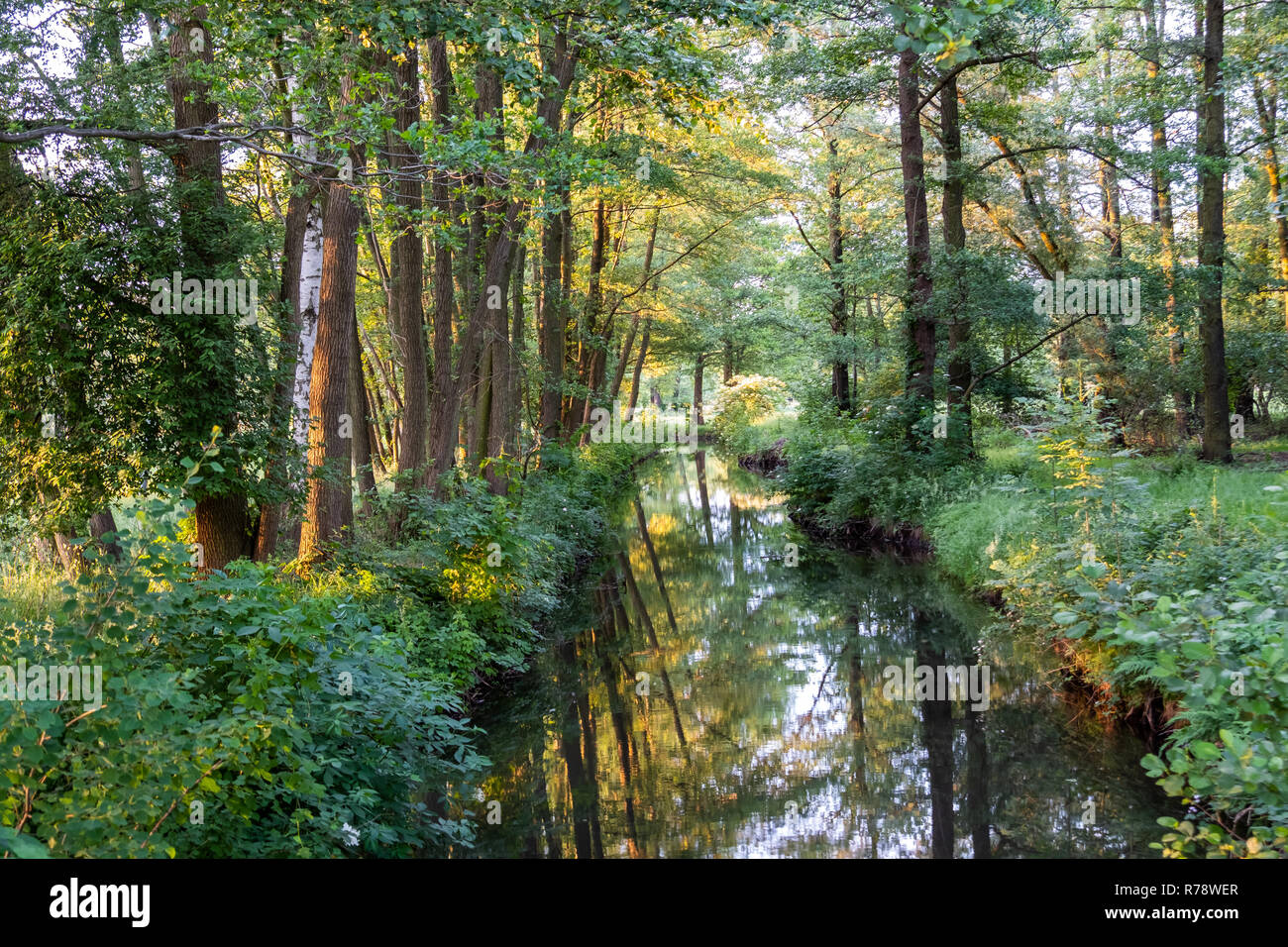 Spreewald riserva della biosfera area vacanze Foto Stock
