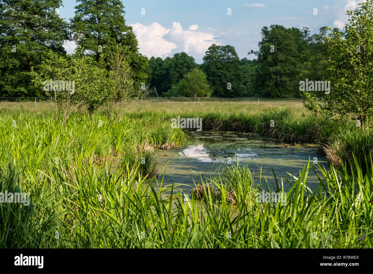Spreewald riserva della biosfera area vacanze Foto Stock