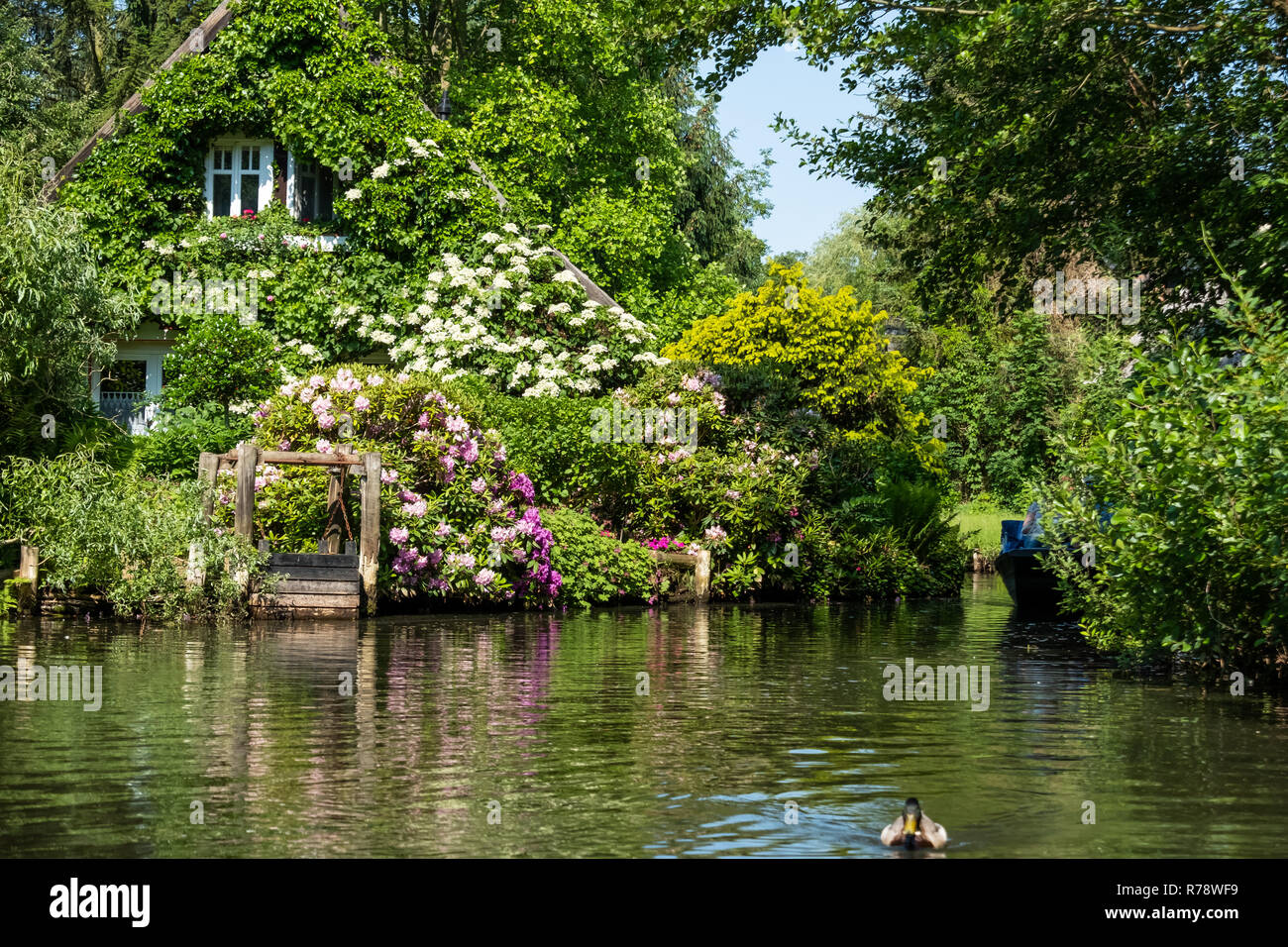 Spreewald riserva della biosfera area vacanze Foto Stock