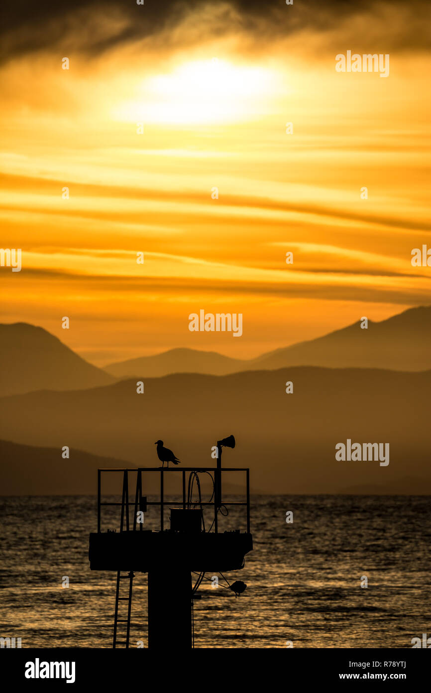 La silhouette di lonely seagull poggiante su airport il palo della luce nelle prime ore del mattino al sorgere del sole a Kerkira isola di Corfù, Grecia. Scenario le curve d'oro Foto Stock