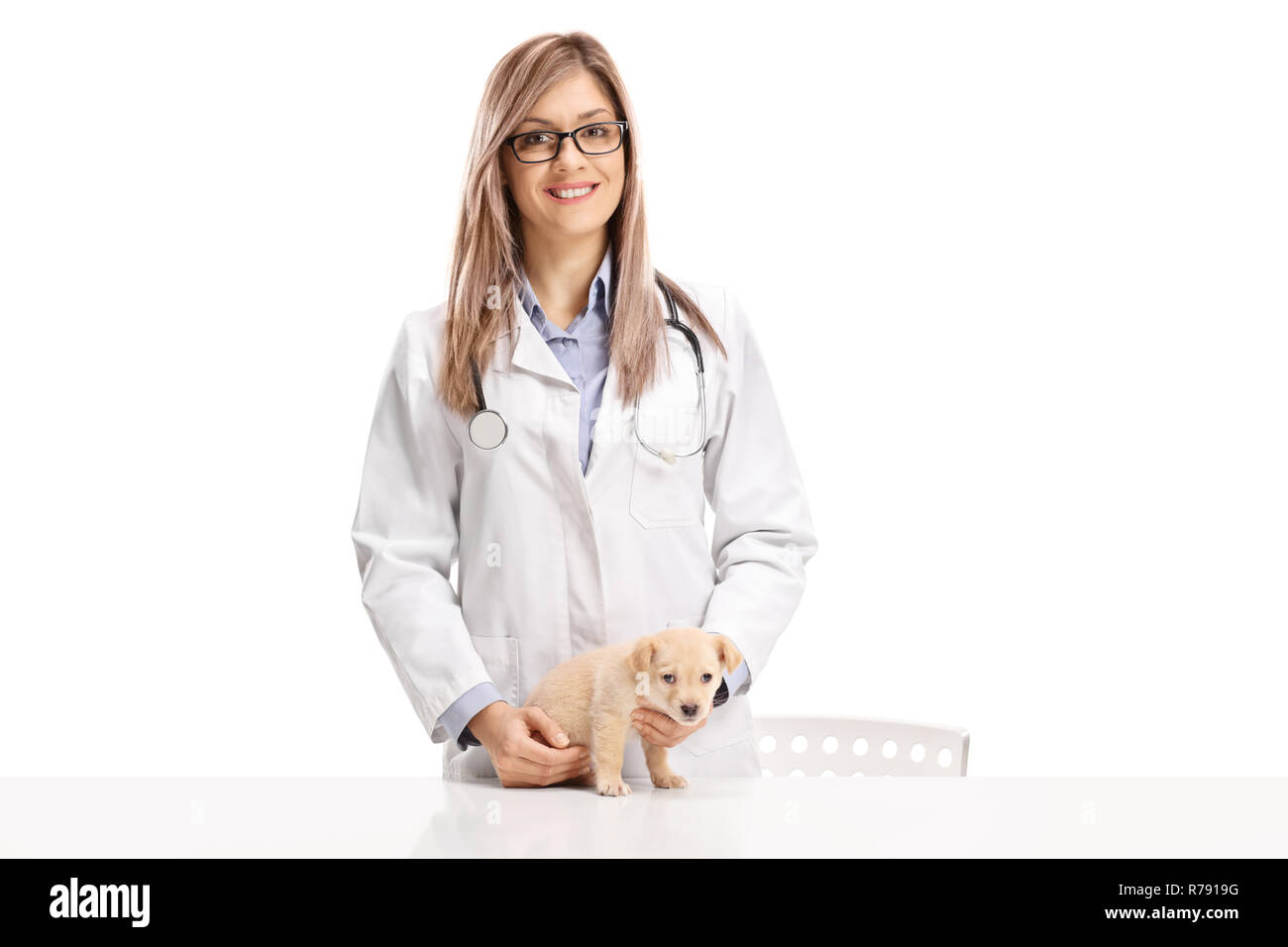 Giovani donne veterinario con un grazioso piccolo cucciolo isolato su sfondo bianco Foto Stock