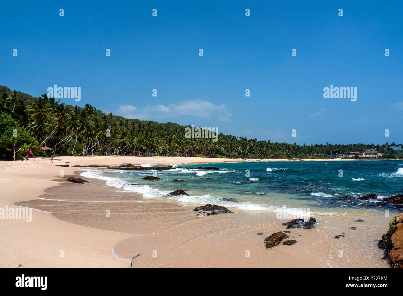 Sri Lanka, Tangalle, 02/08/2014: il paradiso deserto beach con il Palm grove in background Foto Stock
