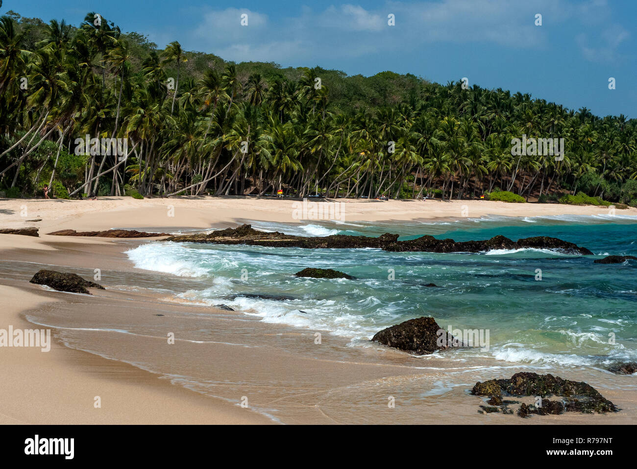 Sri Lanka, Tangalle, 02/08/2014: il paradiso deserto beach con il Palm grove in background Foto Stock