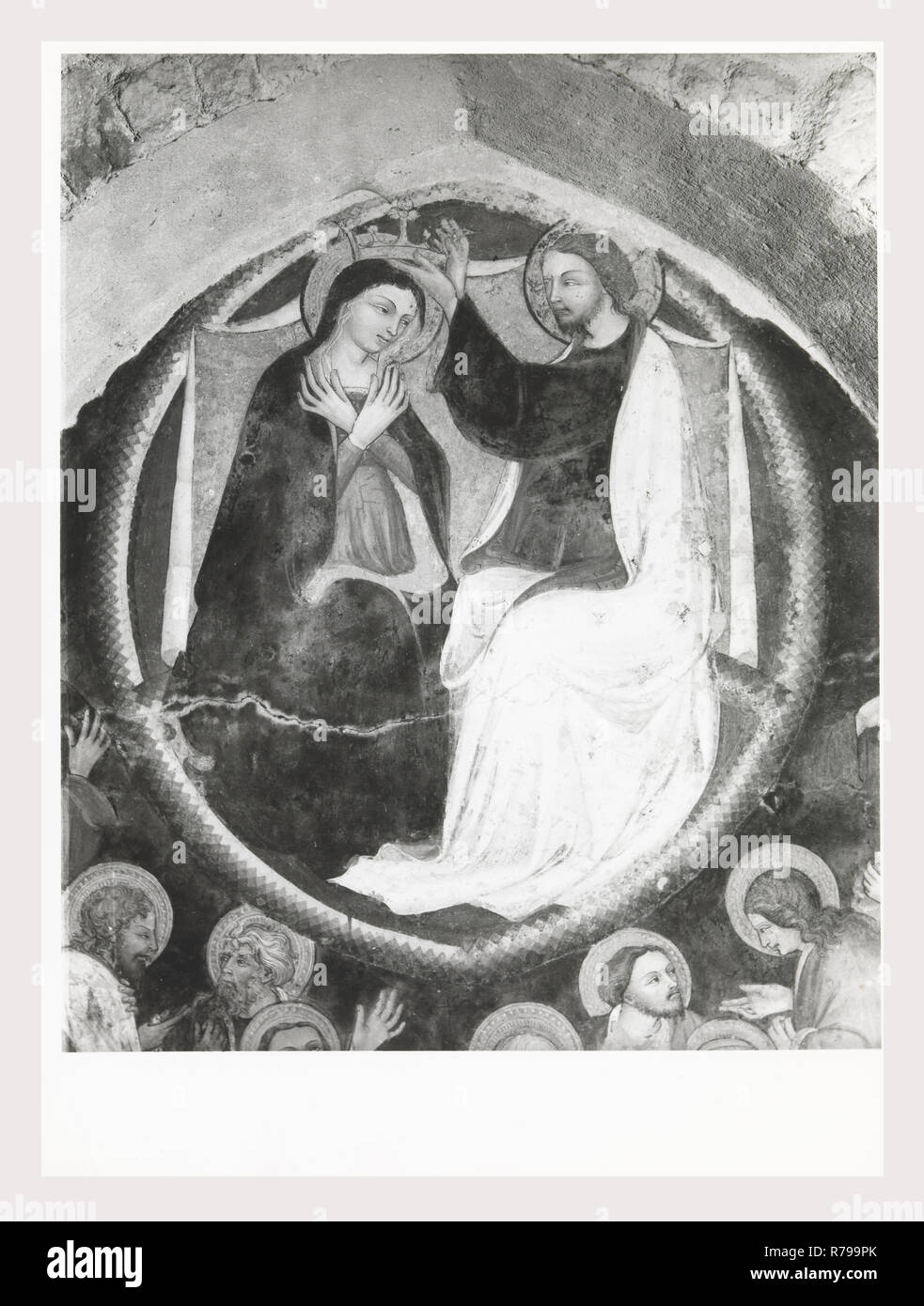 Abruzzo L'Aquila L'Aquila di Santa Maria di Collemaggio, questa è la mia Italia, il paese italiano di storia visiva, architettura medievale, scultura architettonica, pittura murale 13-15 secolo post-architettura medievale, scultura architettonica del XVIII secolo, sculture, affreschi, dipinti a muro, metallo crocifisso la copertura dei dipinti alcune vedute di interni architettonici. Foto Stock