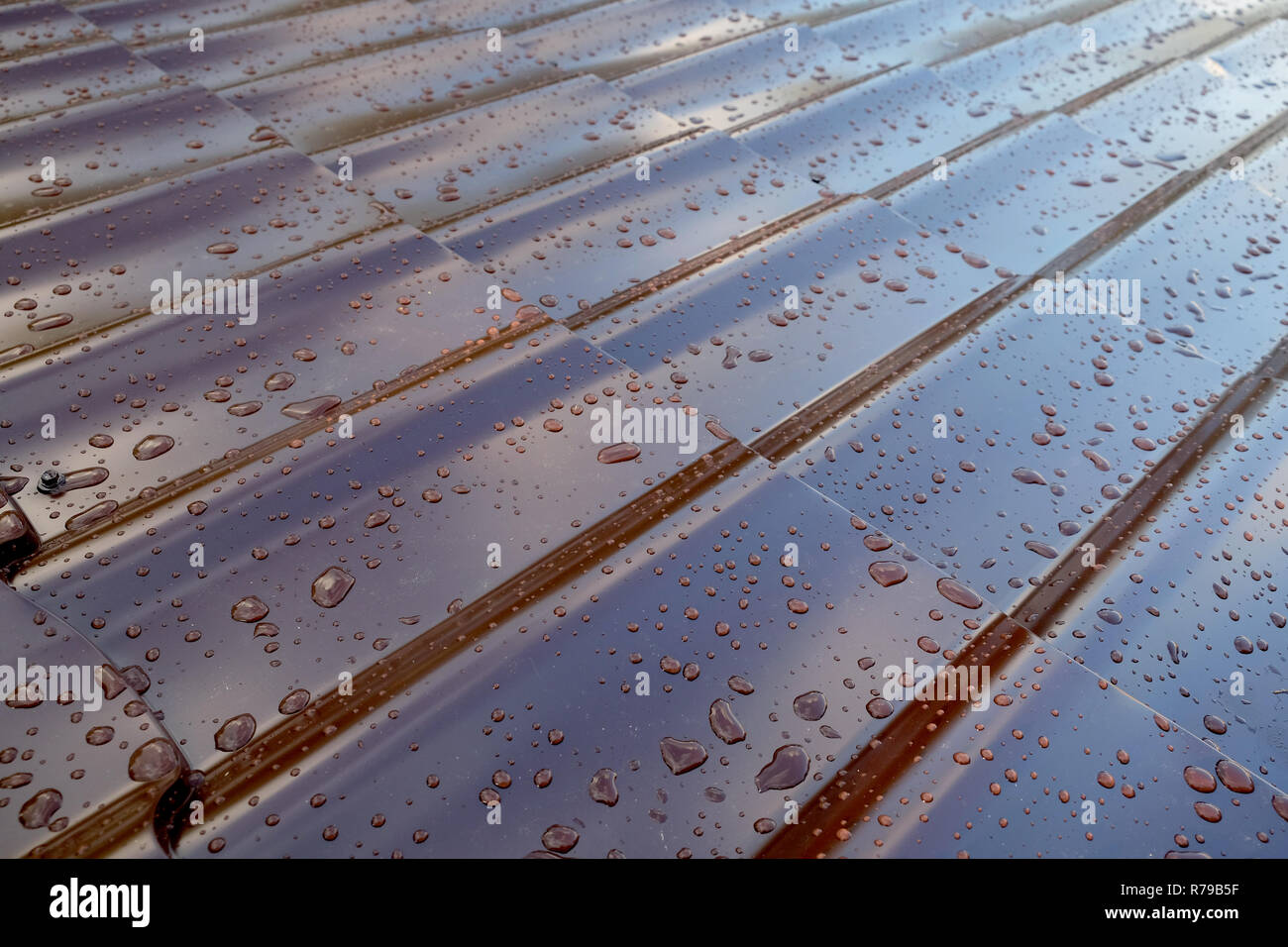 Il frammento di metallo marrone del tetto della casa in forma di tegole del tetto con tante gocce dopo la pioggia, un obliquamente close up Foto Stock