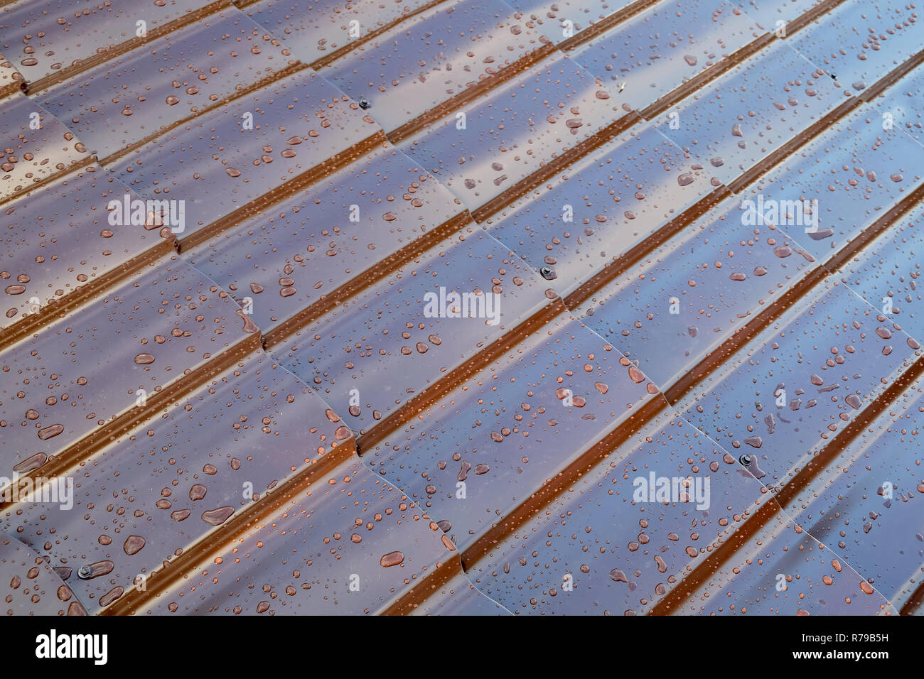 Il frammento di metallo marrone del tetto della casa in forma di tegole del tetto con tante gocce dopo la pioggia, un obliquamente close up Foto Stock