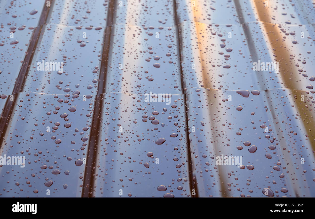 Il frammento umido metallo marrone del tetto della casa in forma di tegole del tetto con tante gocce dopo la pioggia, vista da vicino Foto Stock