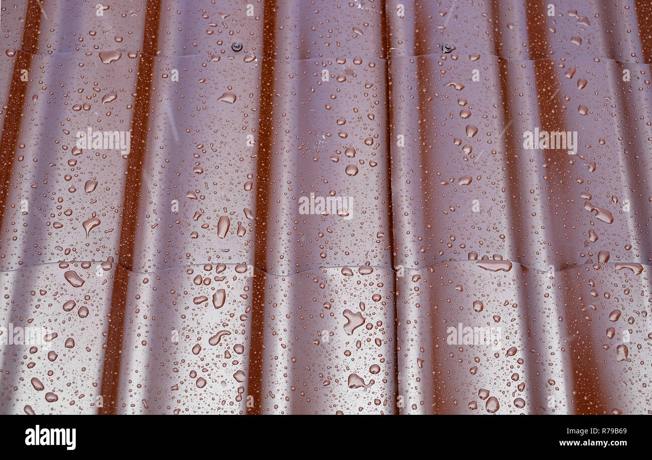 Il frammento umido metallo marrone del tetto della casa in forma di tegole del tetto con tante gocce dopo la pioggia, vista da vicino Foto Stock