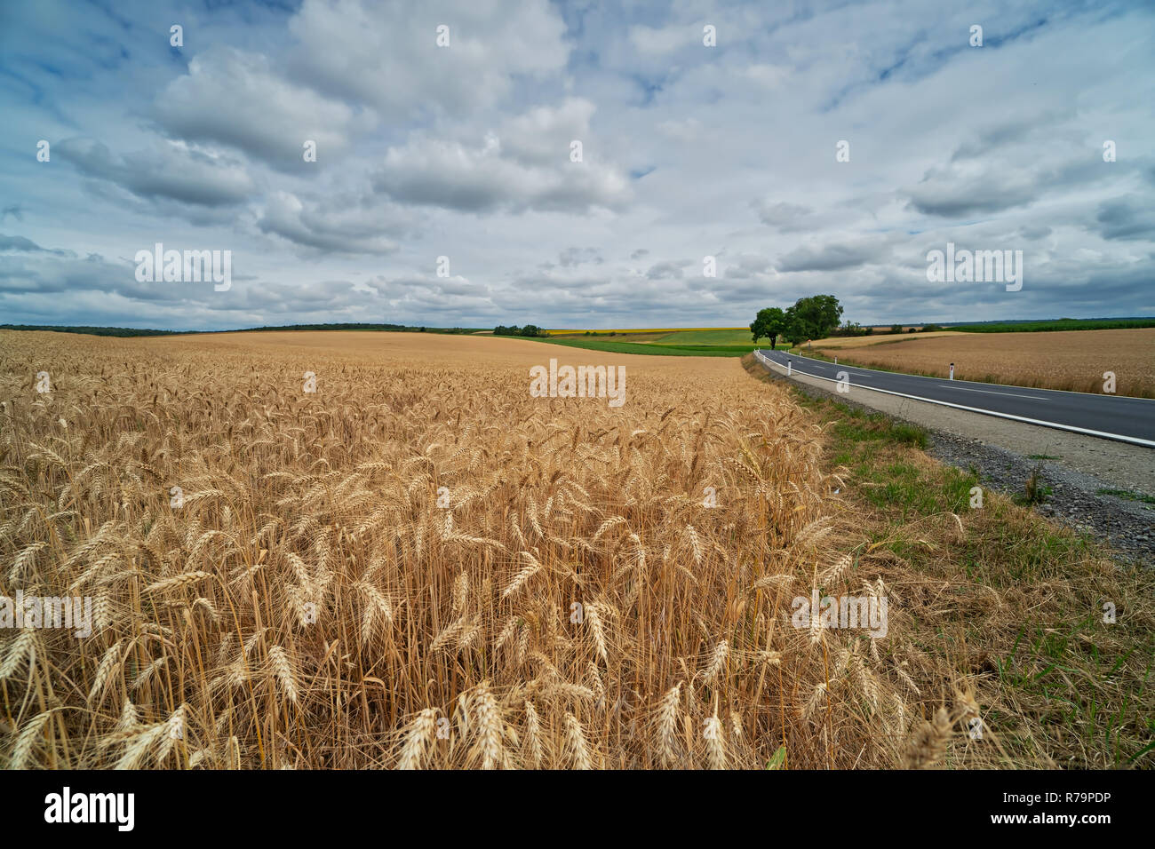 Strada di campagna Foto Stock