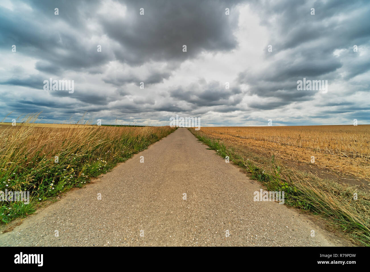 Strada di campagna Foto Stock