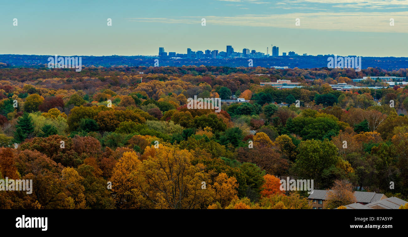 Tyson's Corner sorge nella distanza dietro un campo di alberi girando il colore per l'autunno. Foto Stock