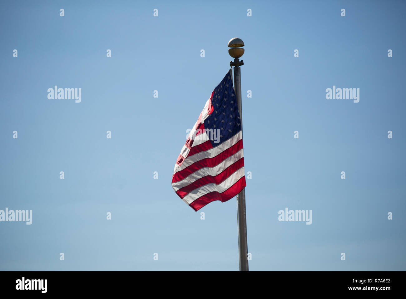 Bandiera americana agitando vigorosamente nel vento contro un cielo blu Foto Stock