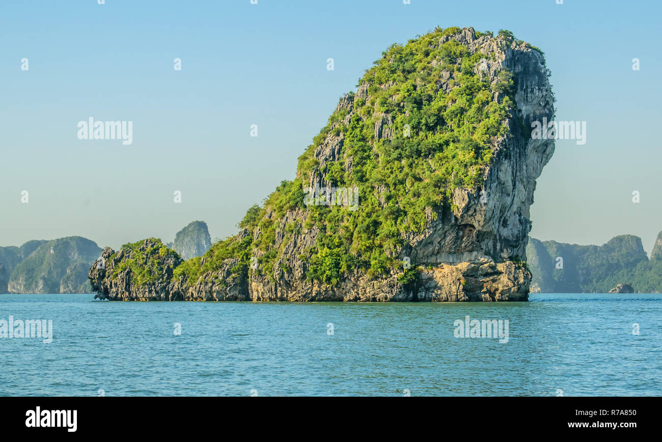 Close up da una macchia verde coperta inclinata nel carso Holonh Bay Vietnam, Novembre 2018 Foto Stock