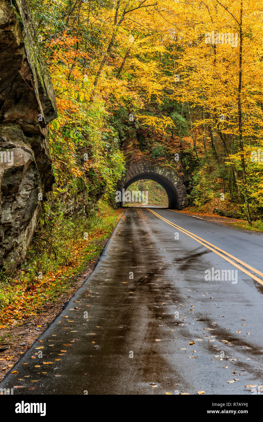 Colpo verticale di un Smoky Mountain tunnel in autunno. Foto Stock