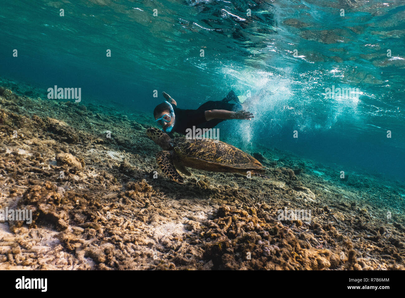 Freediver uomo con tartaruga embricata Foto Stock