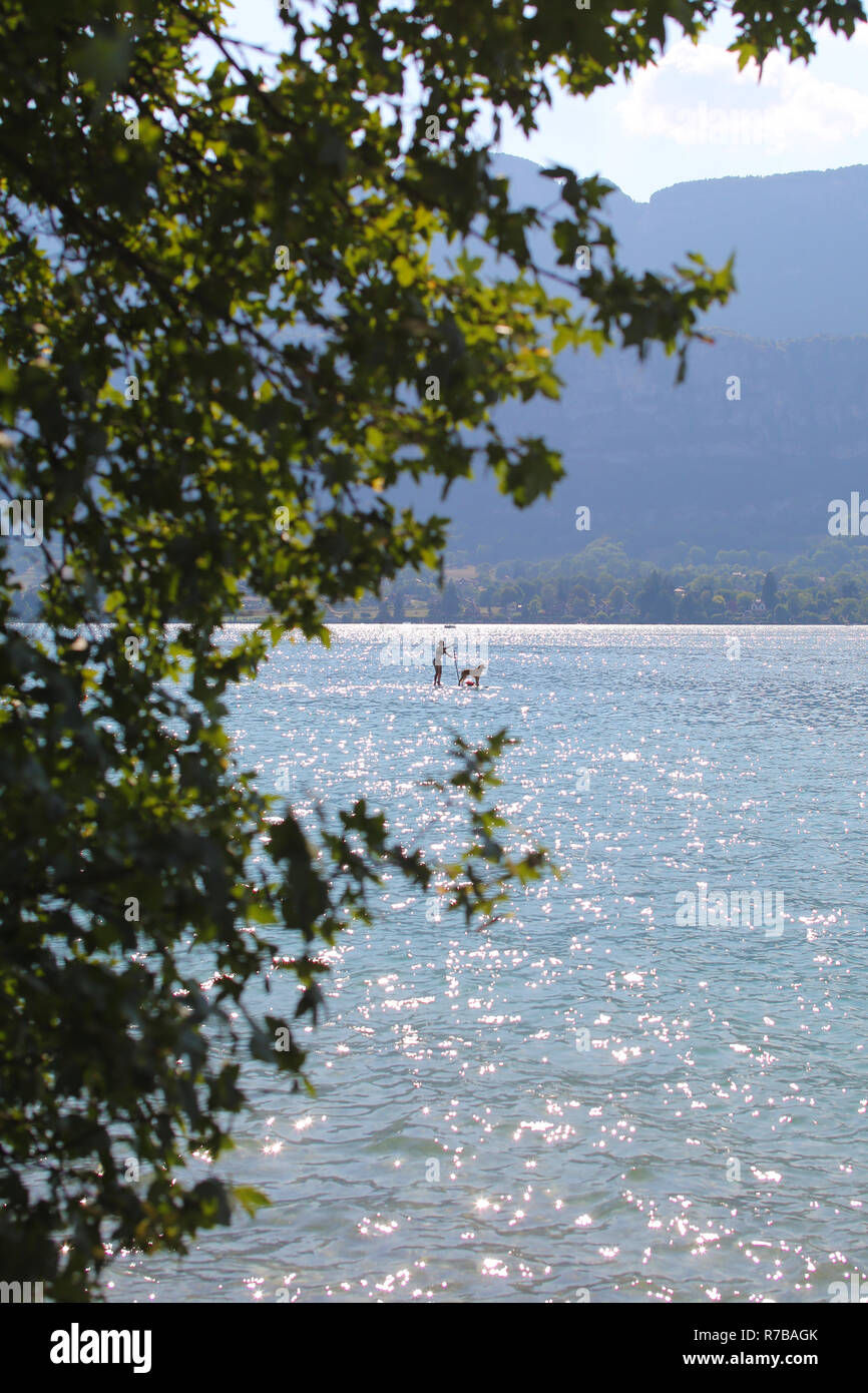 Una donna paddling in piedi (SUP) con il suo cane al Lago di Annecy, Francia. Foto Stock