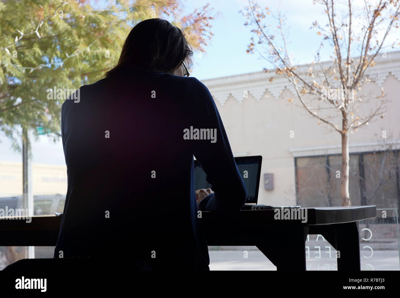Giovane donna che lavorano sul suo computer portatile in un coffee shop in Alpine, Texas. Foto Stock