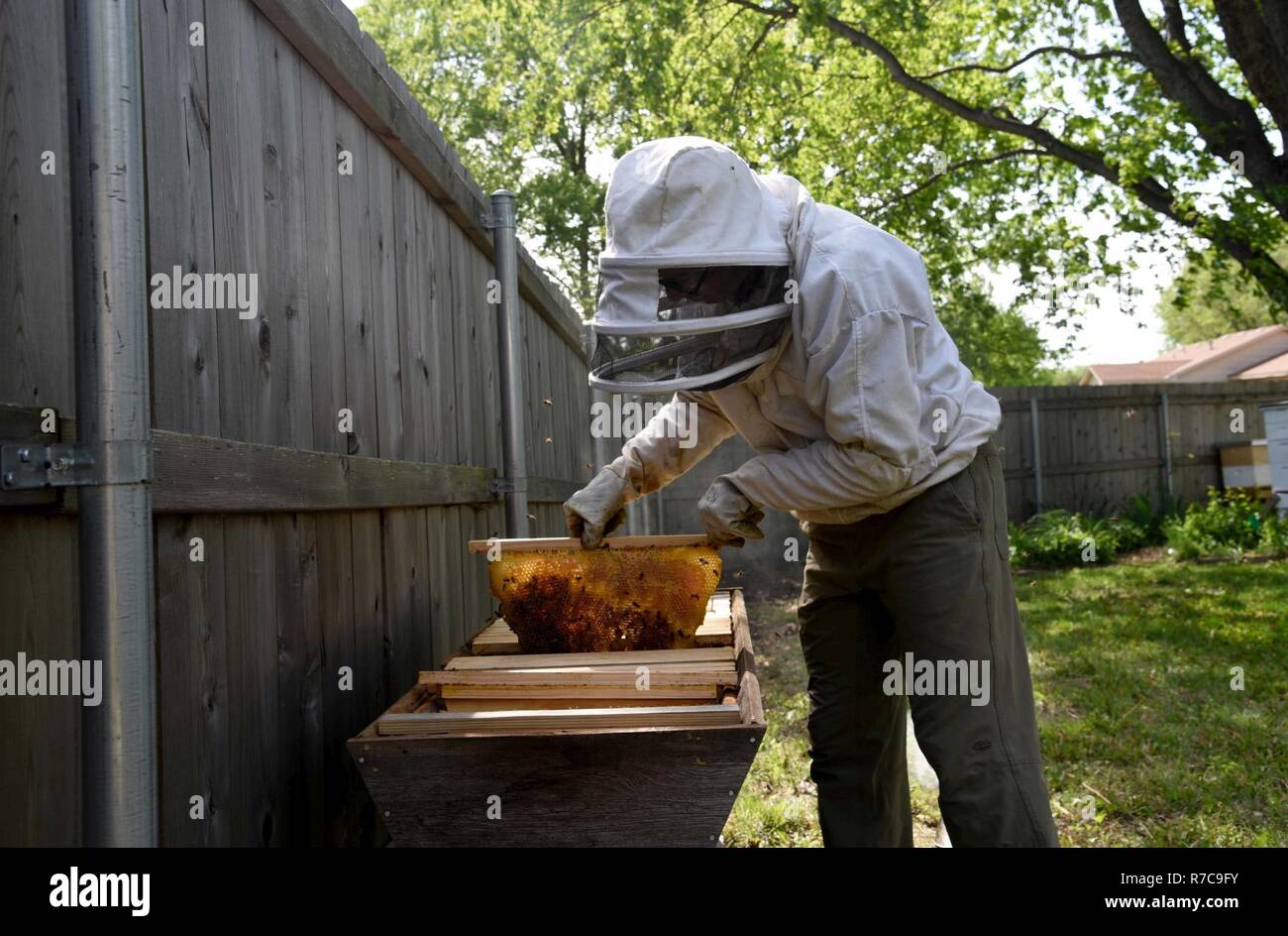 Tech. Sgt. Garrett Wright, XXII Operations Support Squadron sopravvivenza, Evasione, di resistenza e di fuga e di personale specializzato di recupero, ispeziona uno dei suoi alveari di ape Aprile 24, 2017 in Derby, Kan. Wright ha iniziato l'apicoltura lo scorso anno e ora dispone di cinque diverse arnie nel suo cortile. Foto Stock