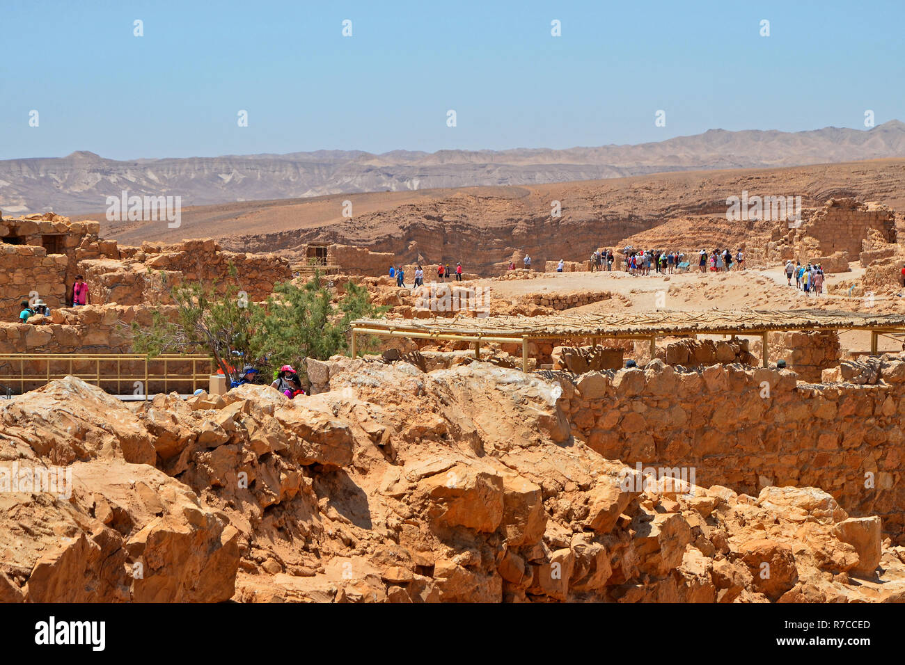 Escursione i gruppi turistici sulle rovine della fortezza di Masada. Escursioni nei dintorni di Israele e il deserto della Giudea. Foto Stock