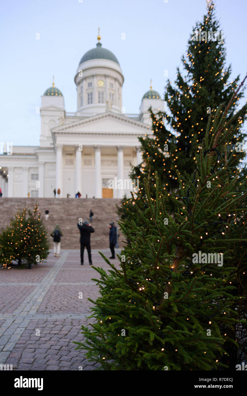 HELSINKI, Finlandia - 6 dicembre 2018: albero di Natale vicino a Cattedrale di Helsinki il 6 dicembre 2018. La gente che prende le immagini foto Foto Stock