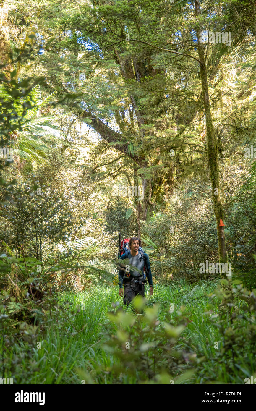 Escursioni nel Parco Nazionale di Fiordland, Nuova Zelanda Foto Stock