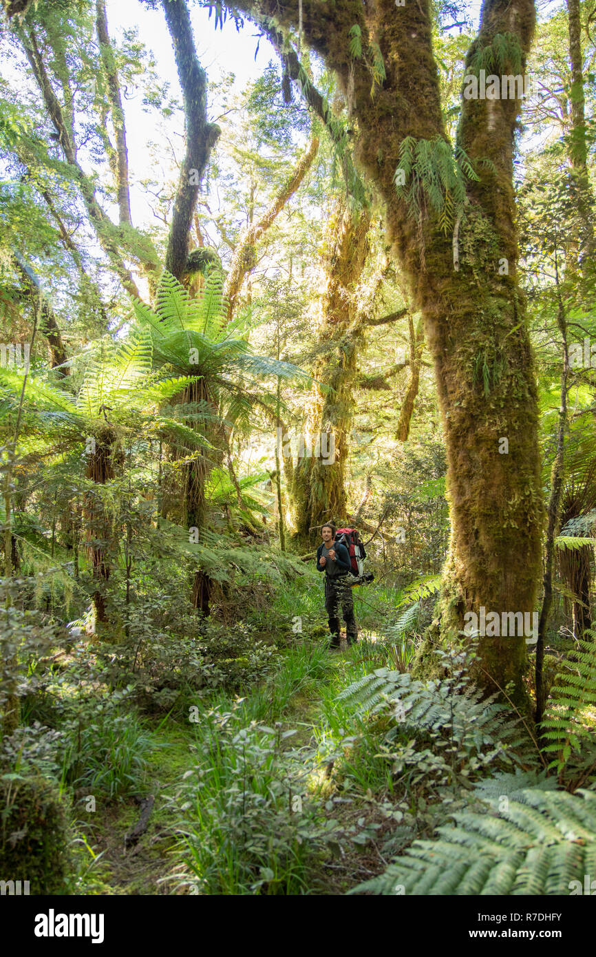 Escursioni nel Parco Nazionale di Fiordland, Nuova Zelanda Foto Stock