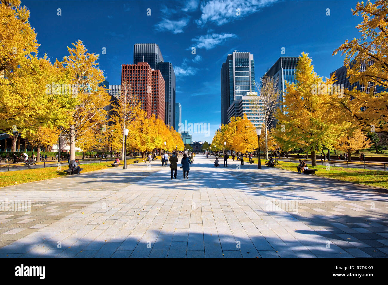 Tokyo Marunouchi quartiere vicino il Palazzo Imperiale in autunno Foto Stock