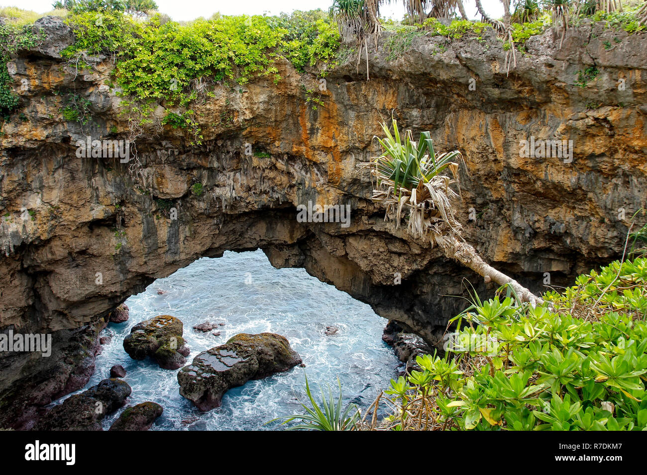 Terreni naturali Hufangalupe ponte sulla parte meridionale dell isola di Tongatapu in Tonga. Essa è stata formata quando il tetto di un mare grotta crollò Foto Stock