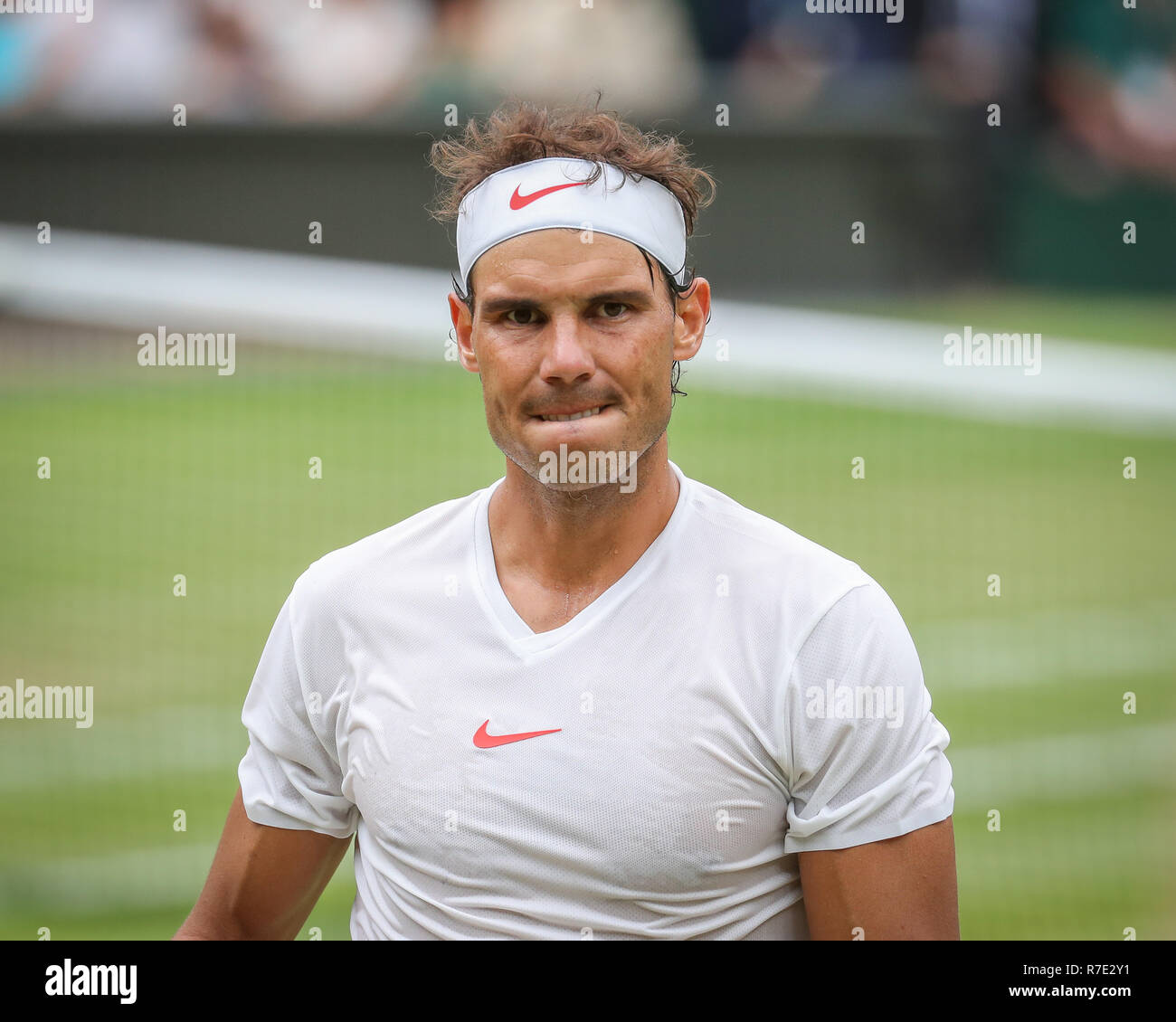 Giocatore spagnolo Rafael Nadal reagisce a Wimbledon, Londra, Gran Bretagna, Regno Unito. Foto Stock