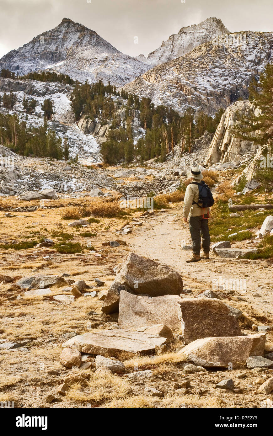 Escursionista su Morgan Pass Trail nella piccola Valle dei Laghi, Mt Giulio Cesare in dist, John Muir Wilderness, Inyo National Forest, Sierra Nevada, in California, Stati Uniti d'America Foto Stock