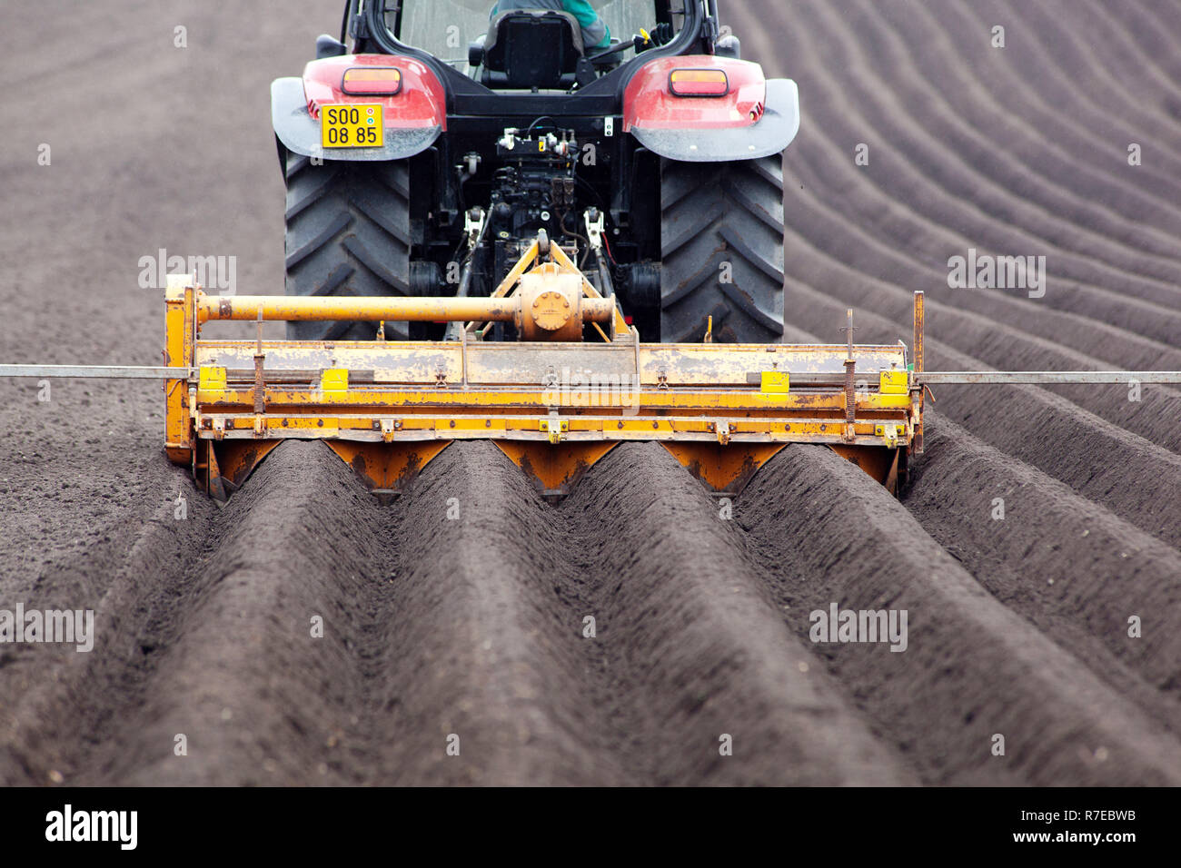 Patate che piantano, produzione di patate, filari di trattore produzione di patate primaverili Foto Stock