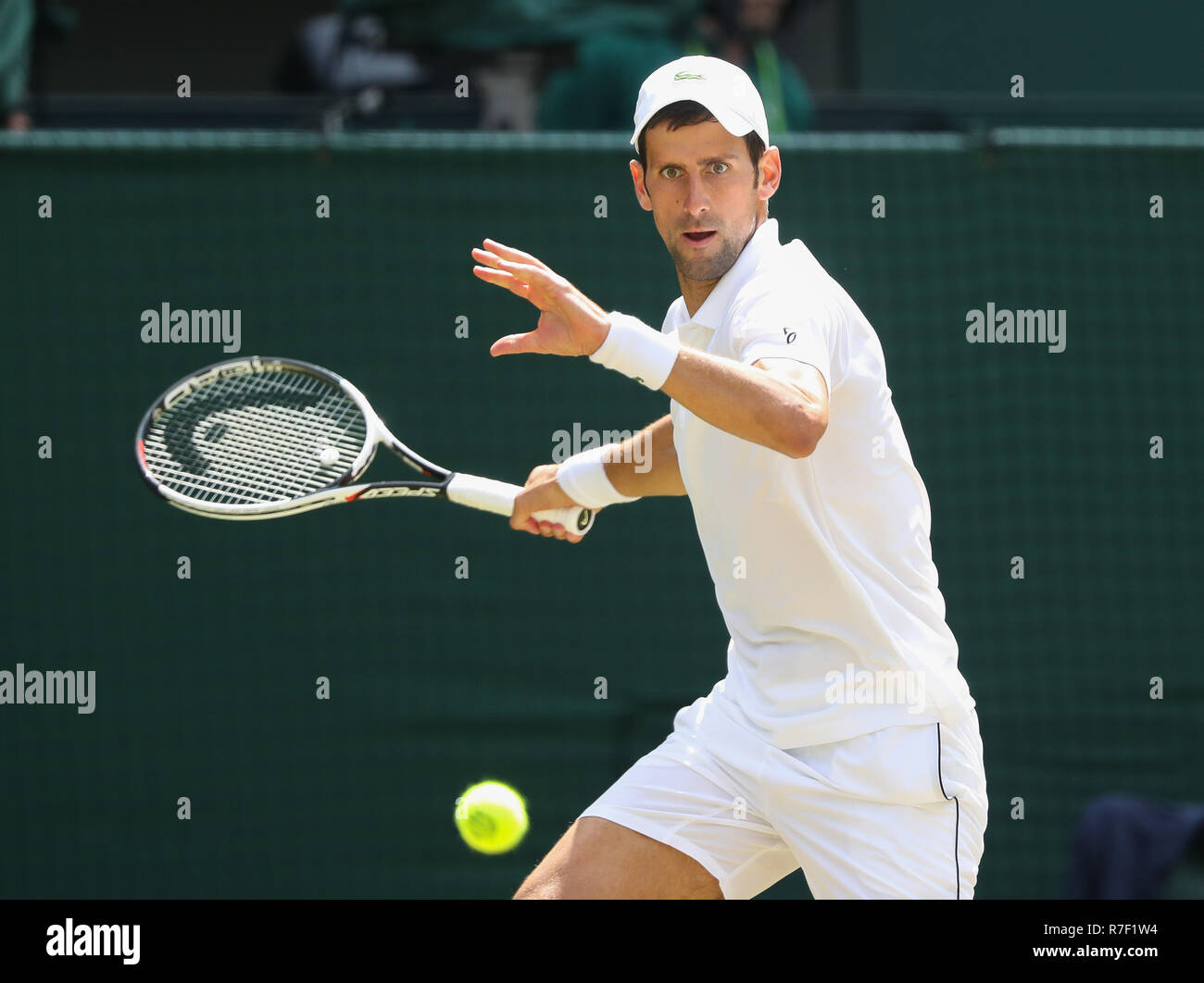 Lettore serbo Novak Djokovic in azione a Wimbledon, Londra, Gran Bretagna, Regno Unito. Foto Stock